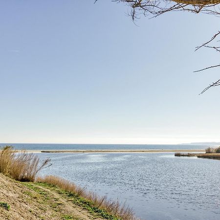 Apartament Ventana Loft Empuriabrava Zewnętrze zdjęcie